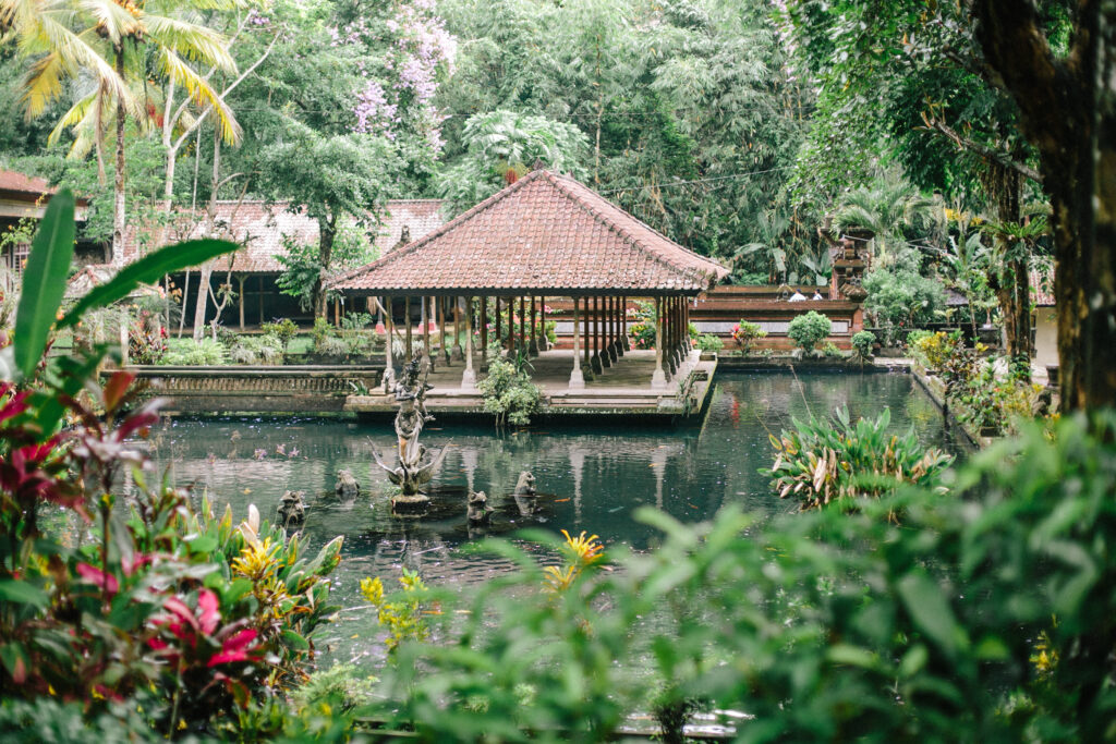 The programs featured image