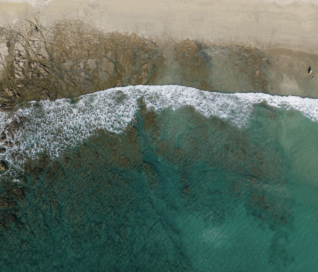 The programs featured image